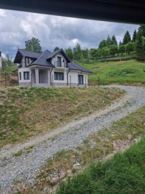 Casa Bogdan Borşa